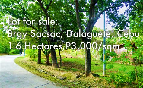 landbank barangay cabagñan photos|Lot For Sale in Bgy. 18 .